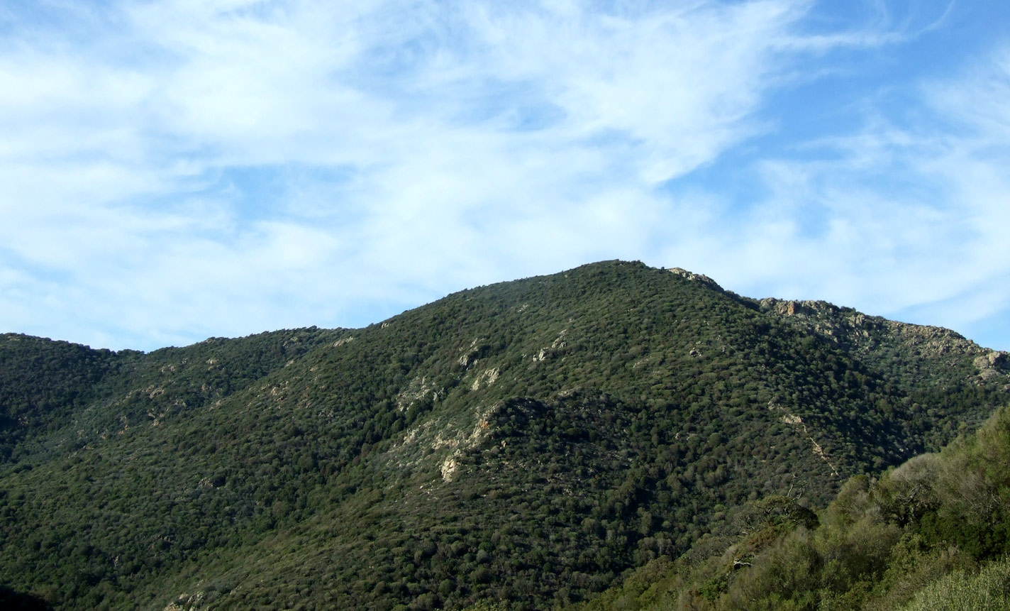 foto propria -  il monte Cuccaru, celebre rifugio dei banditi di Gallura