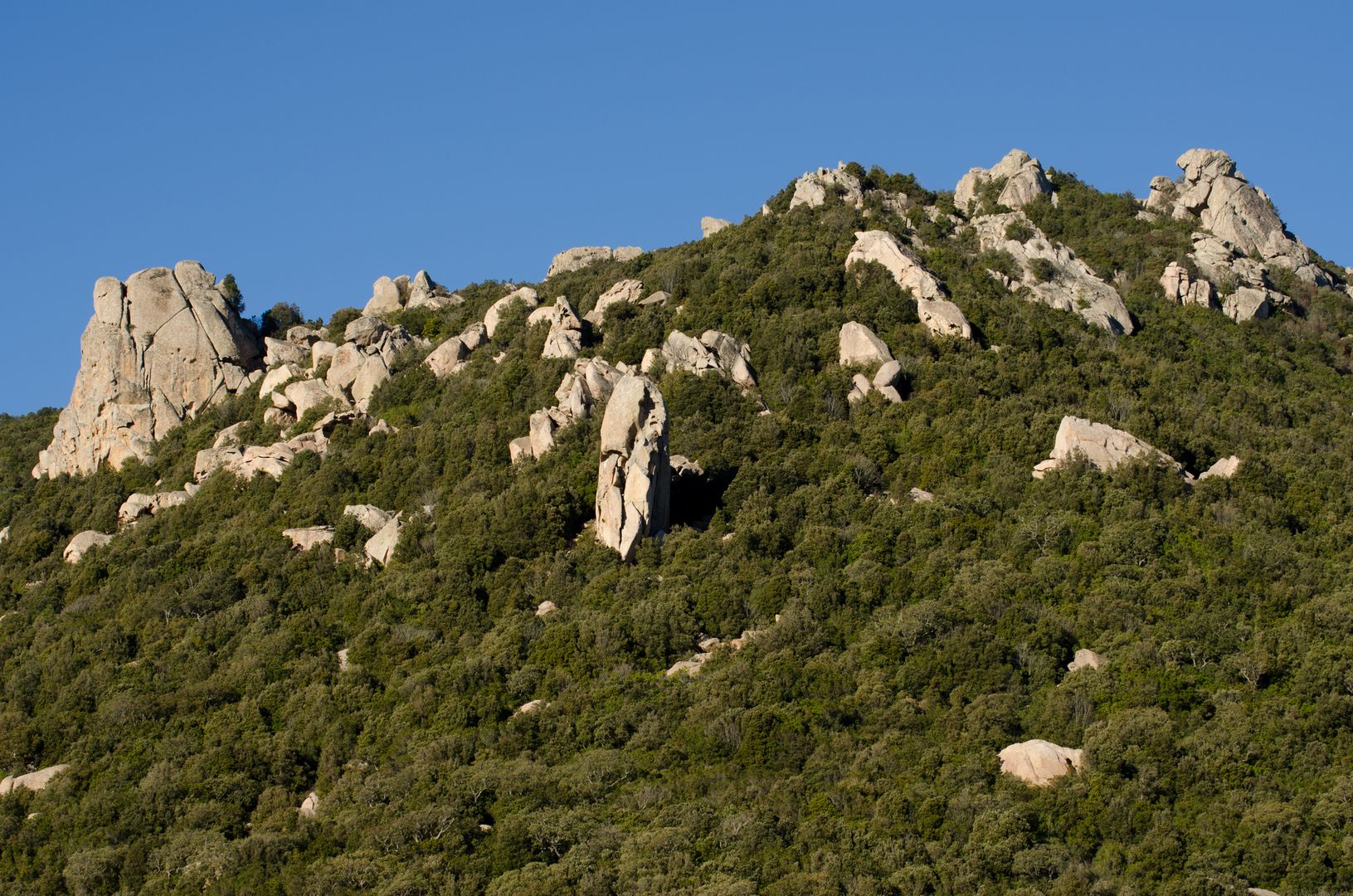 Antonio Concas - The high hills of Lu Sfussatu, between Luogosanto and Tempio