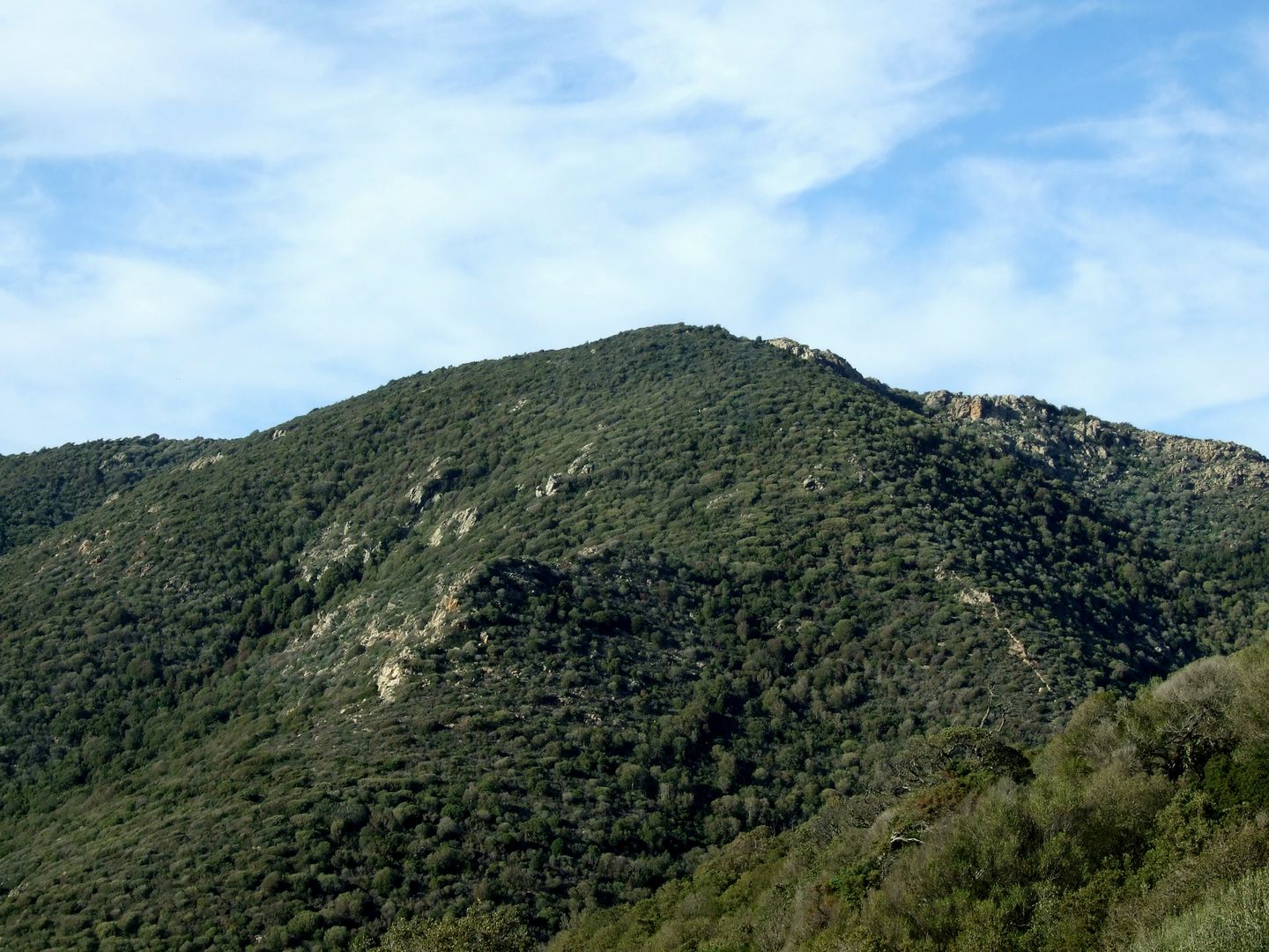 foto propria - il monte Cuccaru, celebre rifugio dei banditi di Gallura