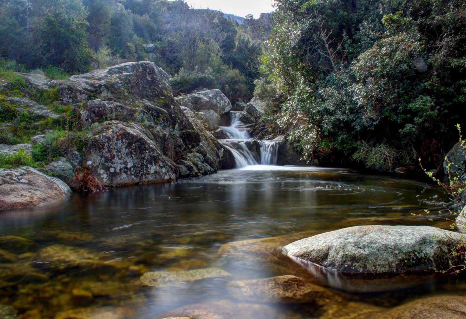 Antonio Concas - Limbara stream and waterfall