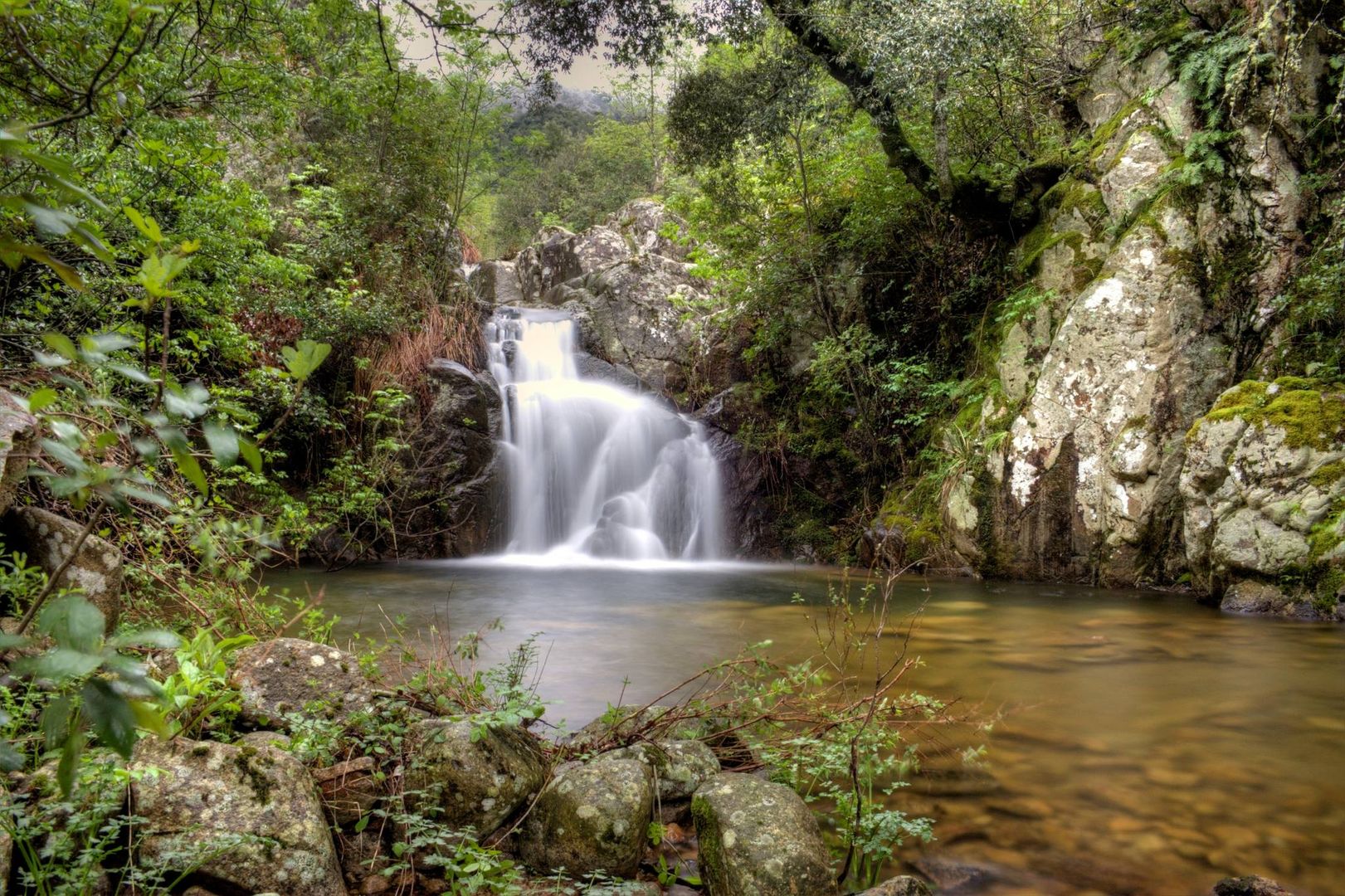 Antonio Concas - Limbara waterfall