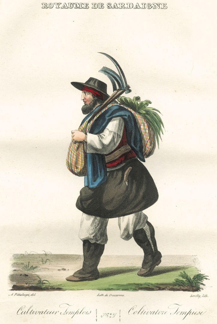 Pittaluga-Levilly - Tempiese Farmer / coltivatore tempiese, 1826