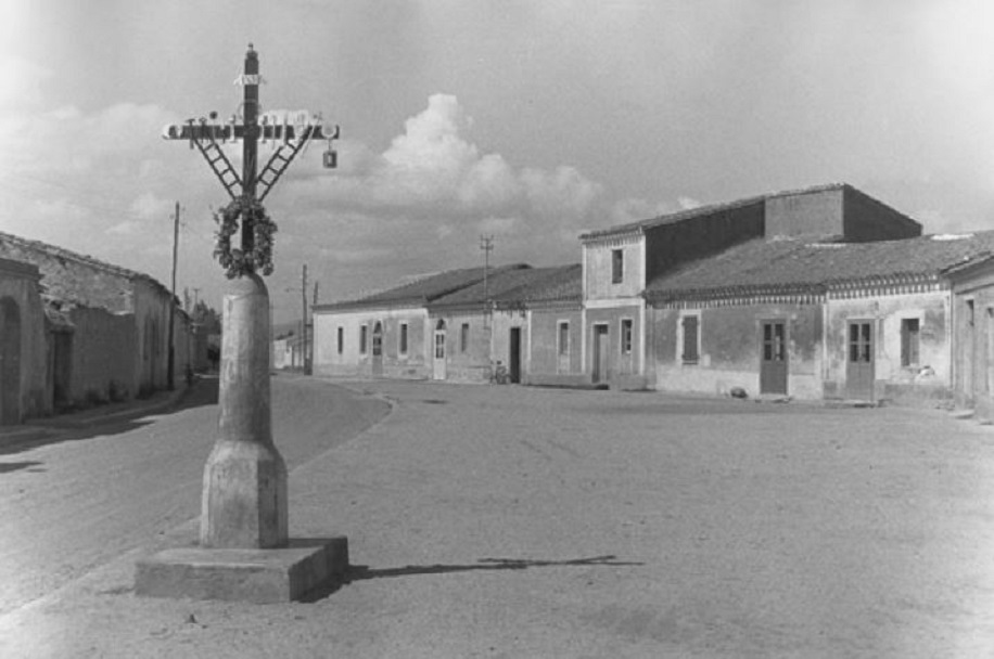 Cabras, foto Franco Pinna